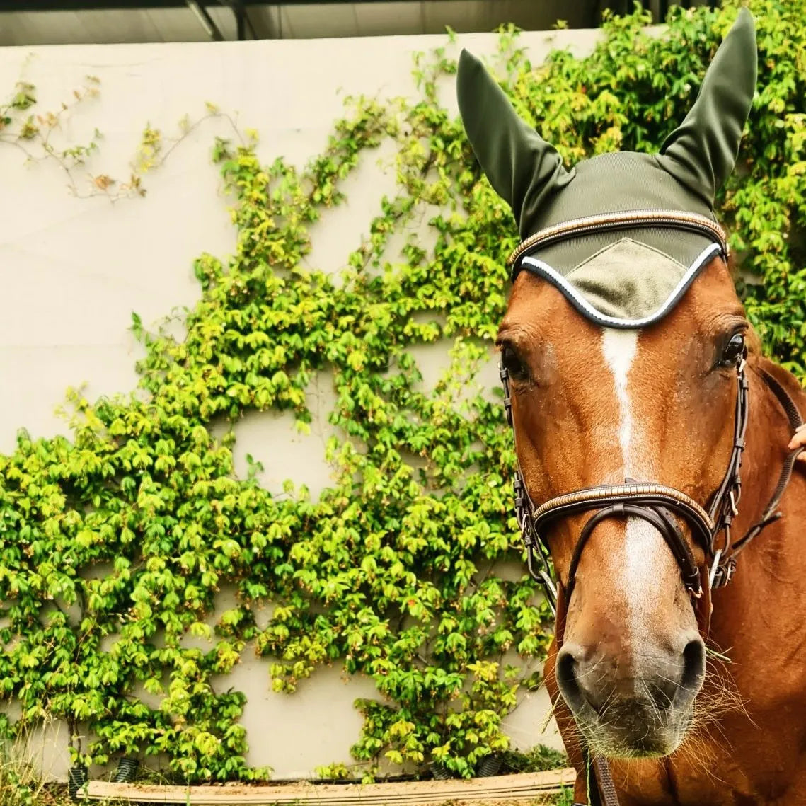 Kit sottosella da salto/dressage IO&TE con lati posteriori dx e sx non trapuntati + Cuffietta anti-mosche FLY AWAY