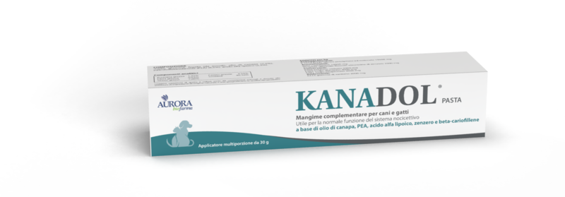 Kanadol pasta 30 g