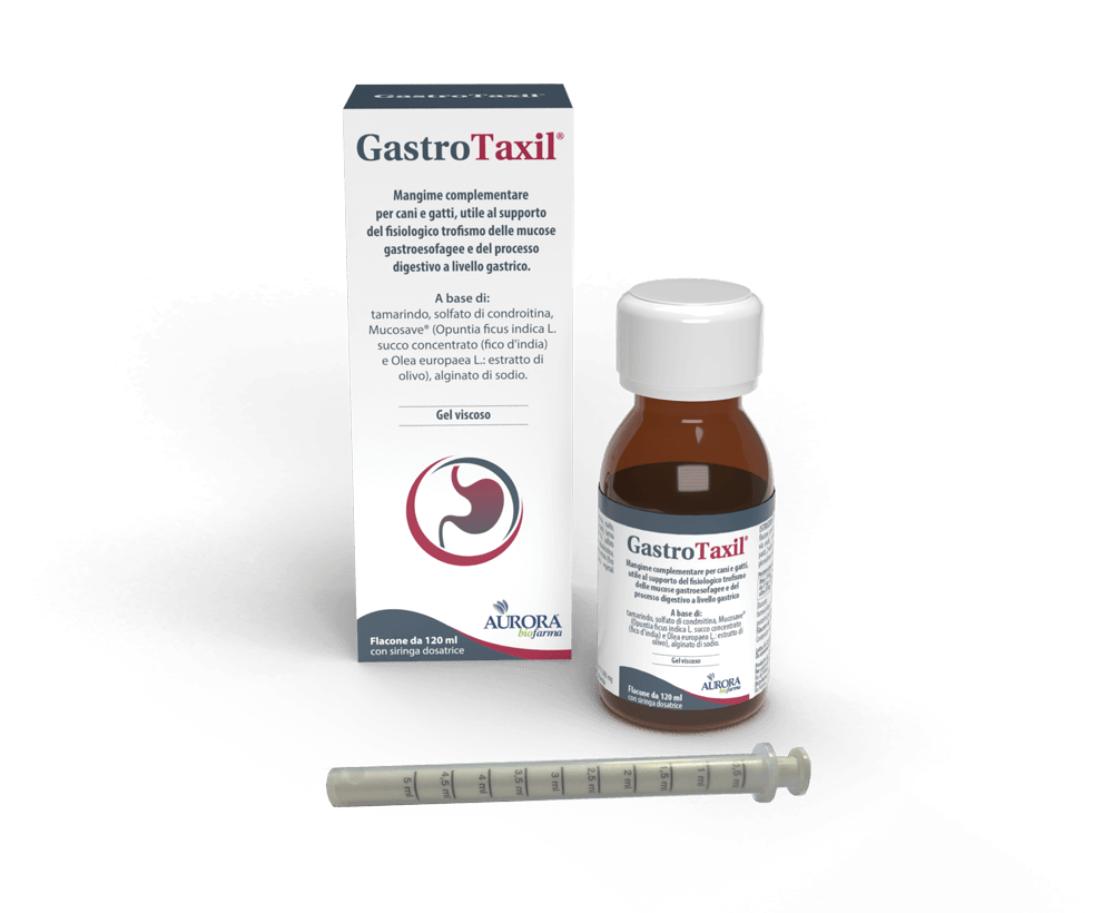 Gastrotaxil 120 ml