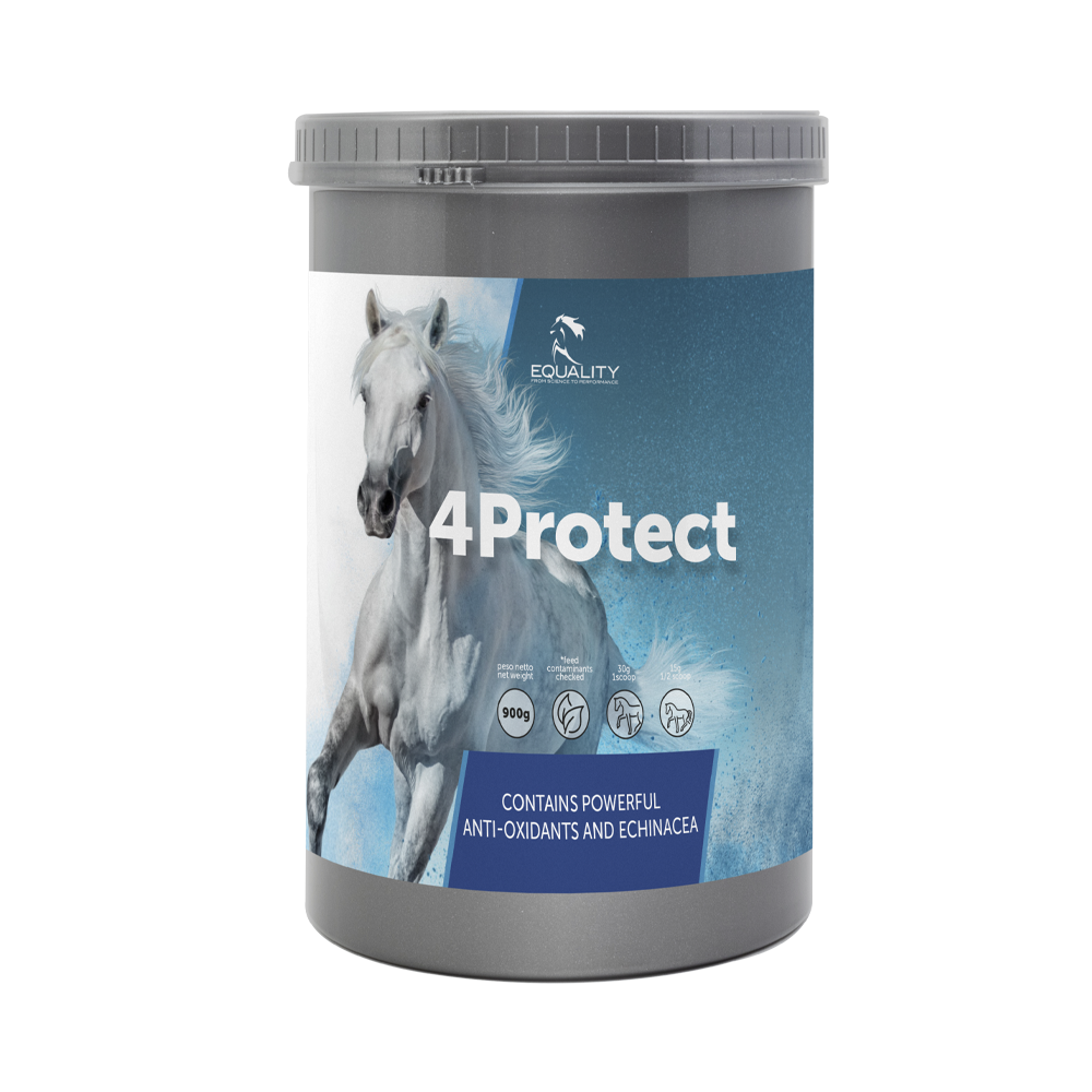 4protect barattolo 900 g