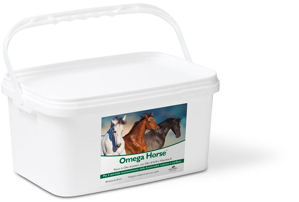 Omega horse 60 buste
