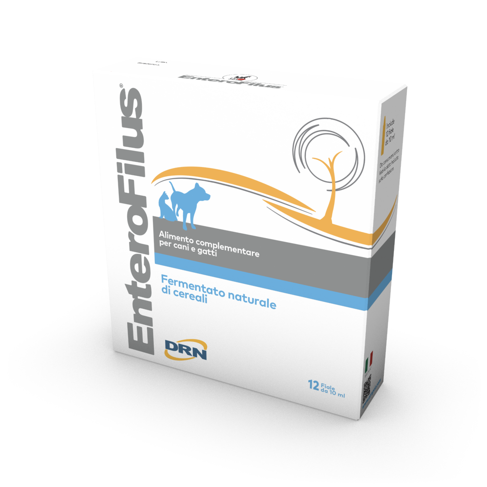 Enterofilus 12 x 10 ml