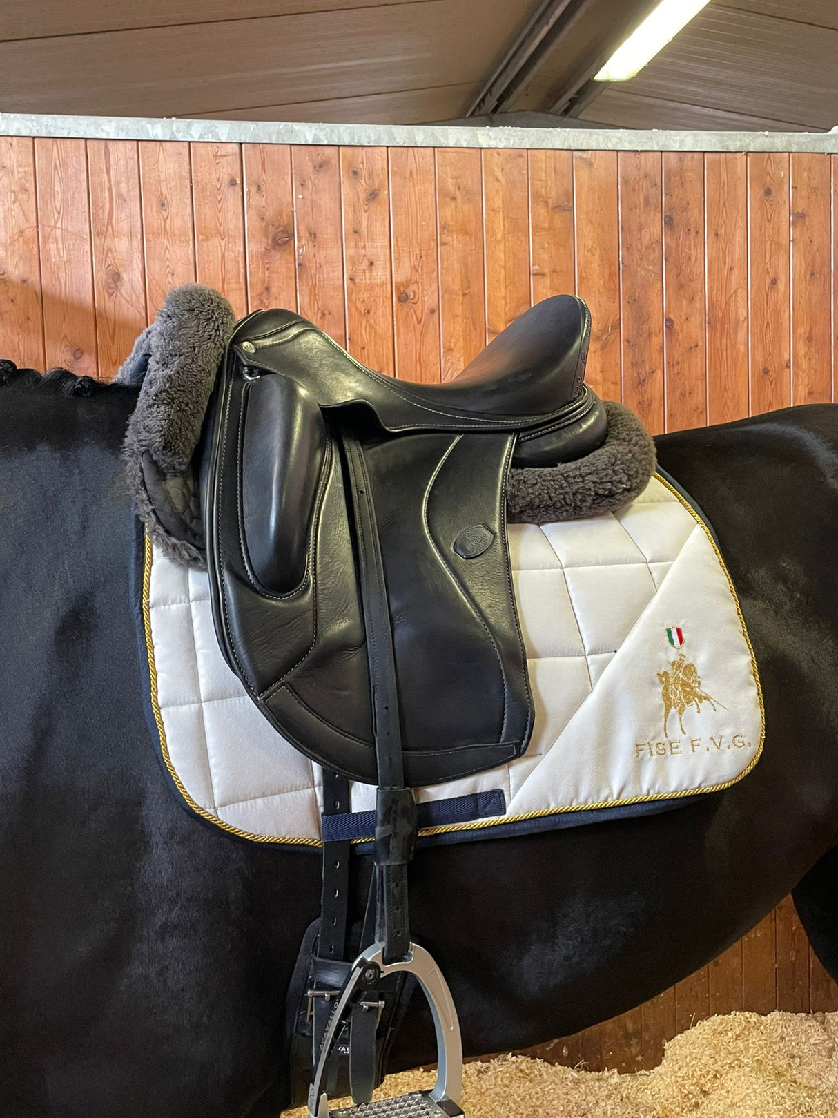 Sottosella dressage IO&TE con lati posteriori dx e sn non trapuntati