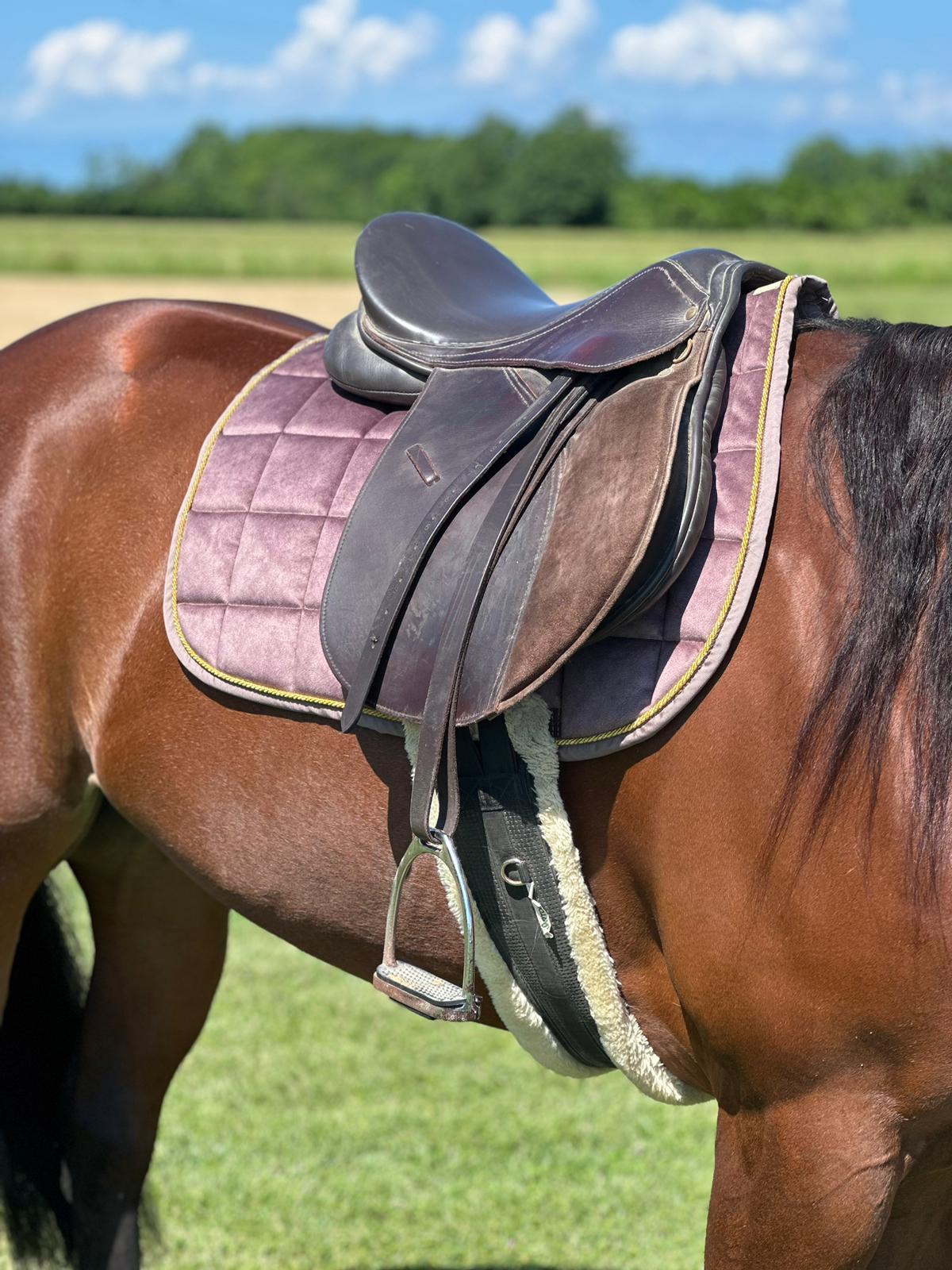 Kit sottosella da salto/dressage IO&TE + Cuffietta anti-mosche FLY AWAY