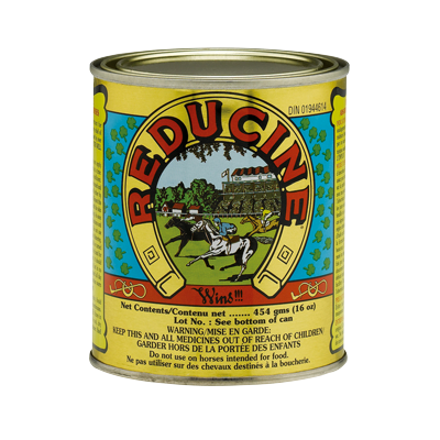 Reducine absorbent 450g