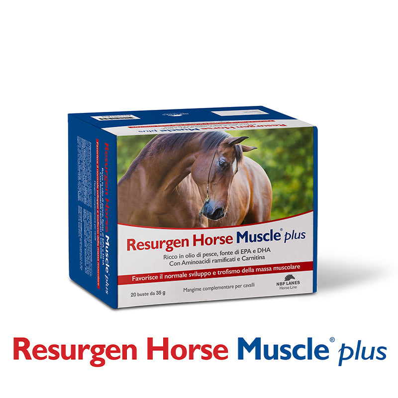 Resurgen horse 20 buste