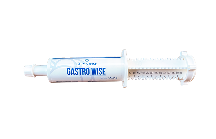 Gastro Wise