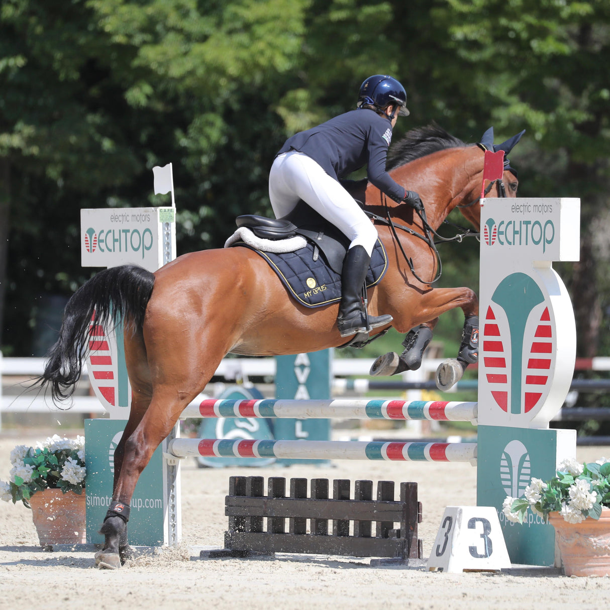 Kit sottosella da salto/dressage FAST + Cuffietta anti-mosche FLY AWAY