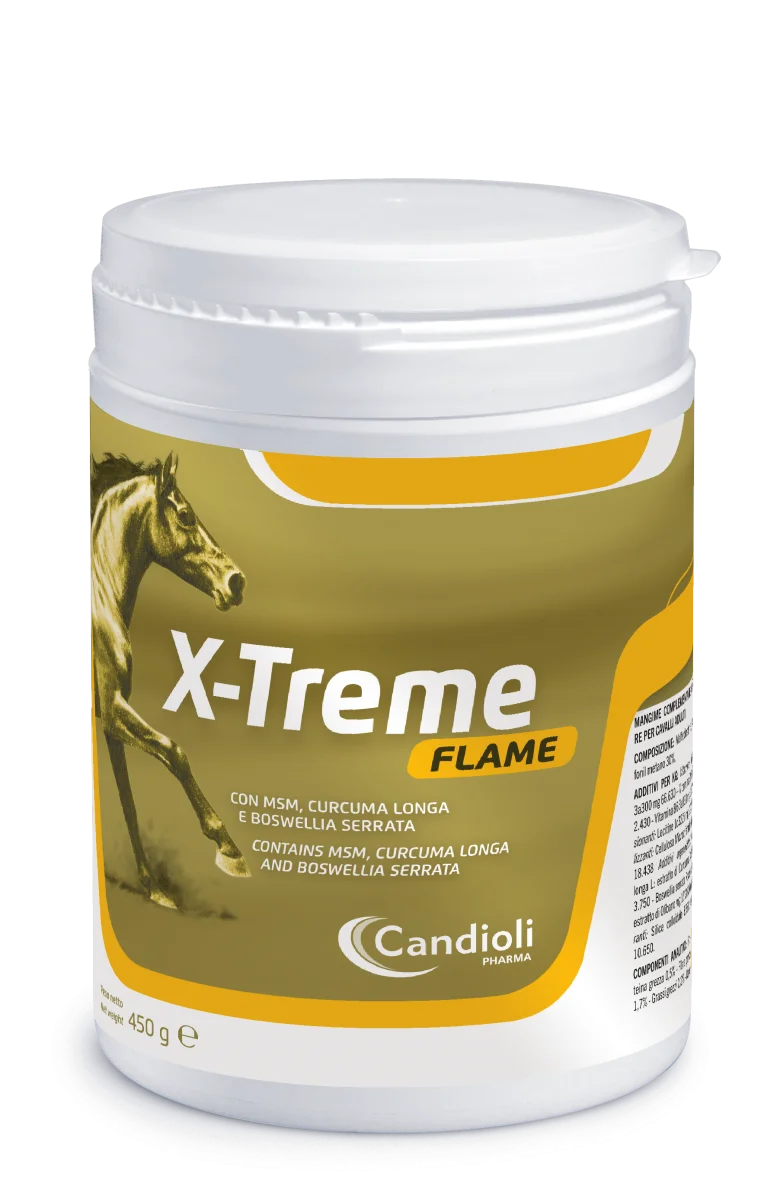 X-treme flame polvere barattolo 450 g