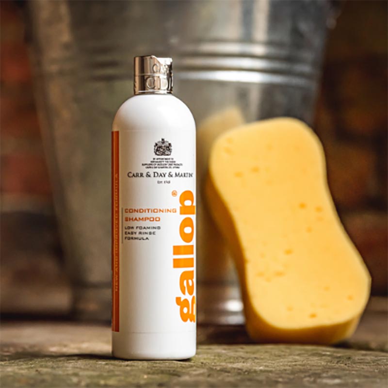 Shampoo Gallop Arancione