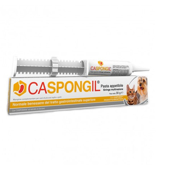 Caspongil pasta 30 g