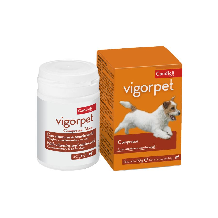 Vigorpet cani barattolo 20 compresse
