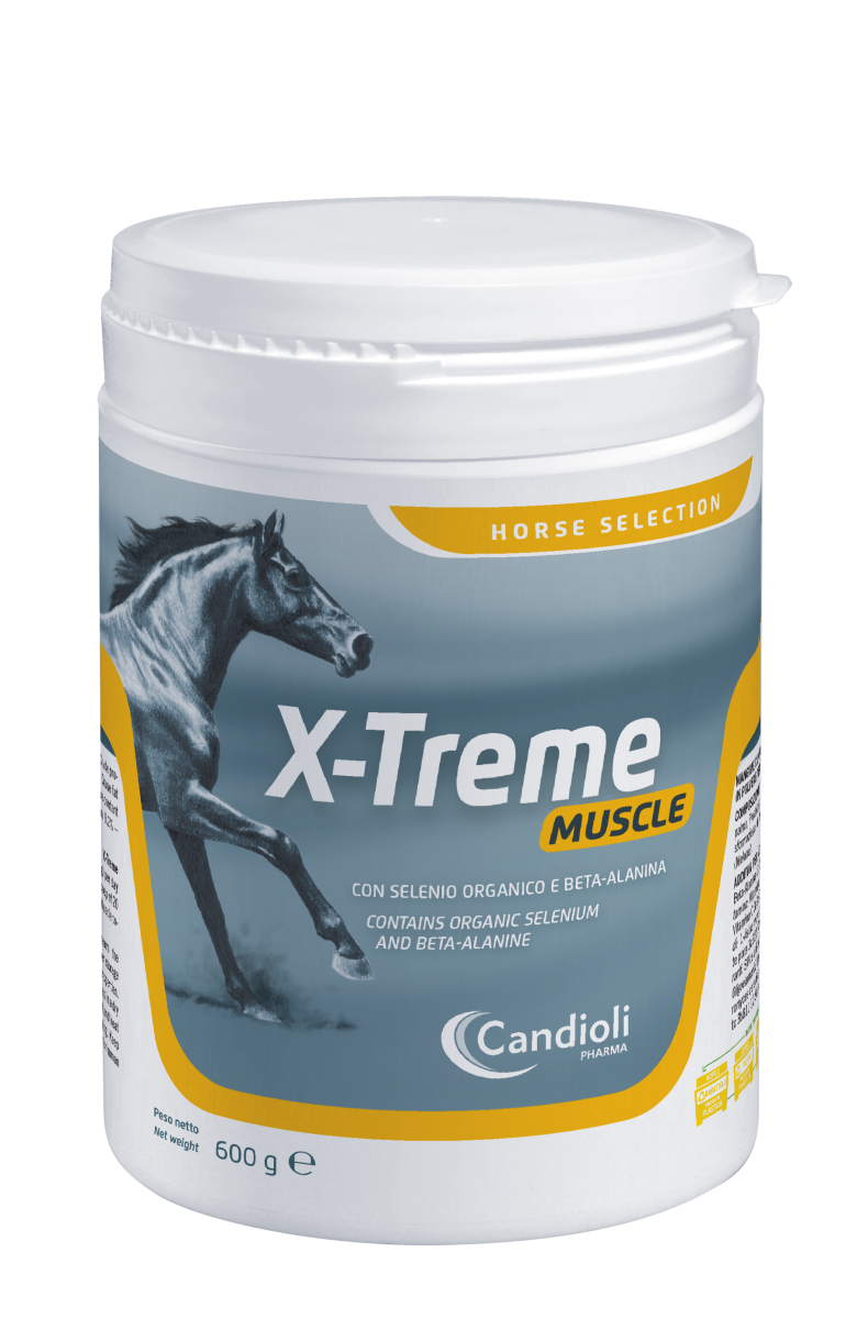 X-treme muscle barattolo 600 g