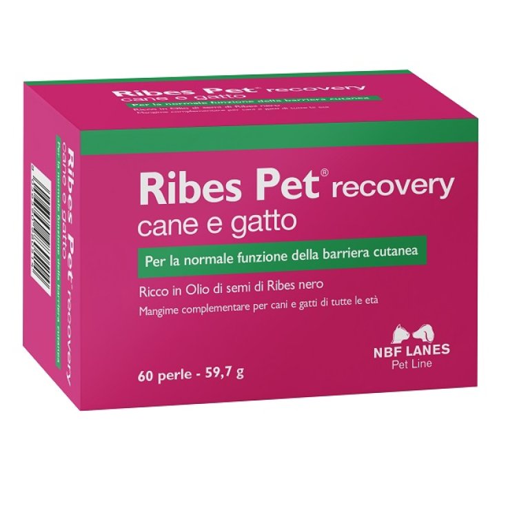 Ribes pet recovery blister 60 perle