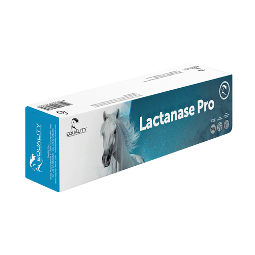 Lactanase pro siringa pasta orale per cavalli 50 g