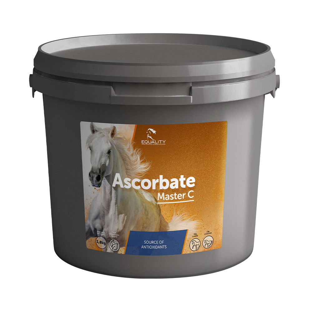Ascorbate master c barattolo 1,8 kg