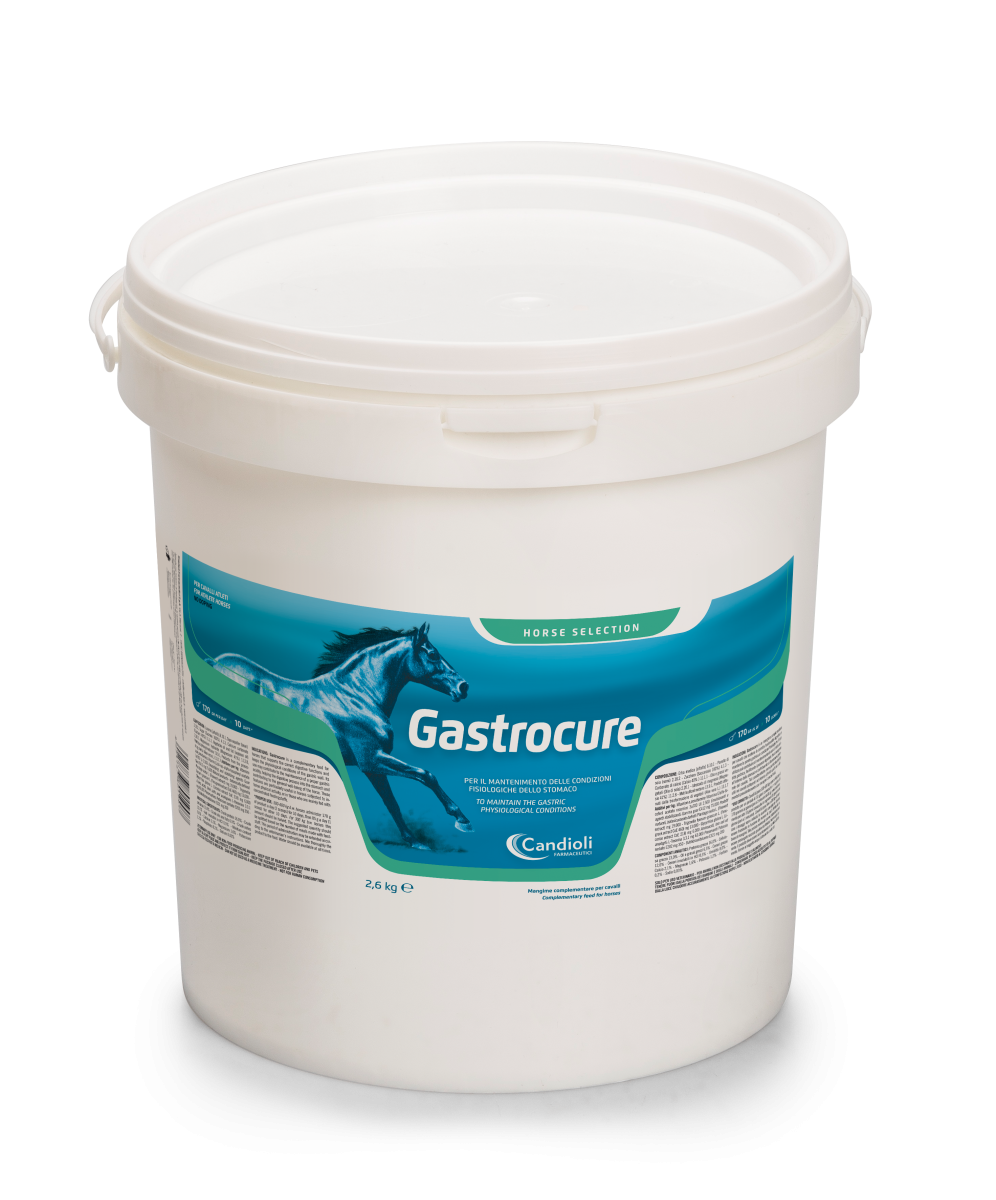 Gastrocure secchiello 2,6 kg