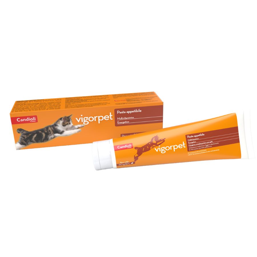 Vigorpet pasta gatti tubo 50 g