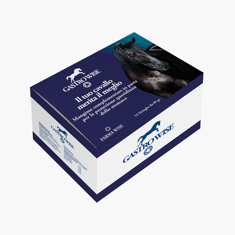 Gastro Wise Ciclo Mensile